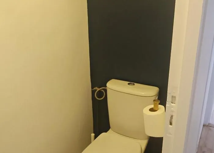 Lumineux Et Cosy * ショレ